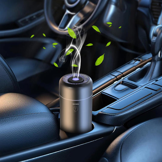 RoadBreeze Car Diffuser